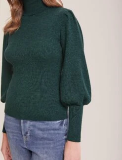 Eva Wool Roll Neck Jumper - Dark Green -Cefinn Clothing Store RSHT K10 EVA DARKGREEN LS 38461